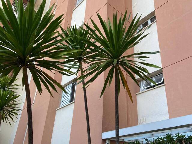 #AP4054 - Apartamento para Venda em Santo André - SP - 2