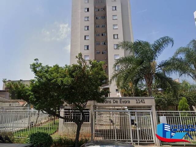 #AP4210 - Apartamento para Venda em São Paulo - SP - 1