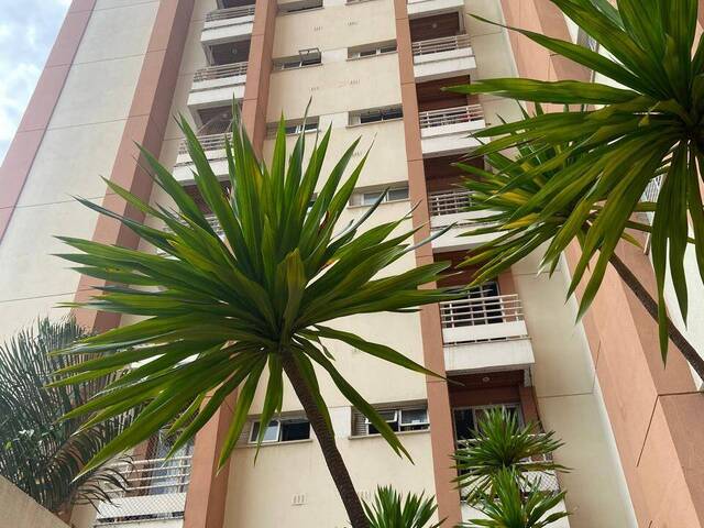 #AP4235 - Apartamento para Venda em Santo André - SP - 3